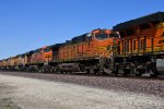 BNSF 5218 Roster shot.